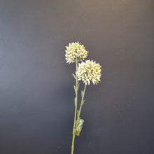 Load image into Gallery viewer, Silk Flowers Individual Stems
