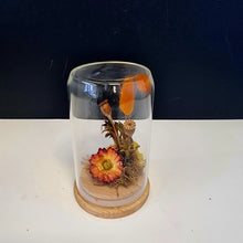 Load image into Gallery viewer, Dried Flower Domes
