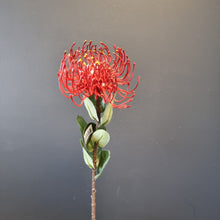 Load image into Gallery viewer, Silk Flowers Individual Stems
