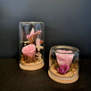 Preserved Rose Domes