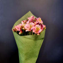 Load image into Gallery viewer, November Special - Alstromeria
