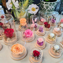 Load image into Gallery viewer, Preserved Rose Domes - Blanc Flowers

