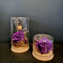 Load image into Gallery viewer, Preserved Rose Domes

