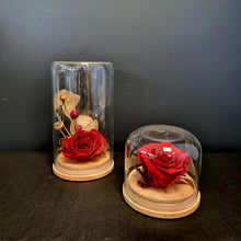 Load image into Gallery viewer, Preserved Rose Domes
