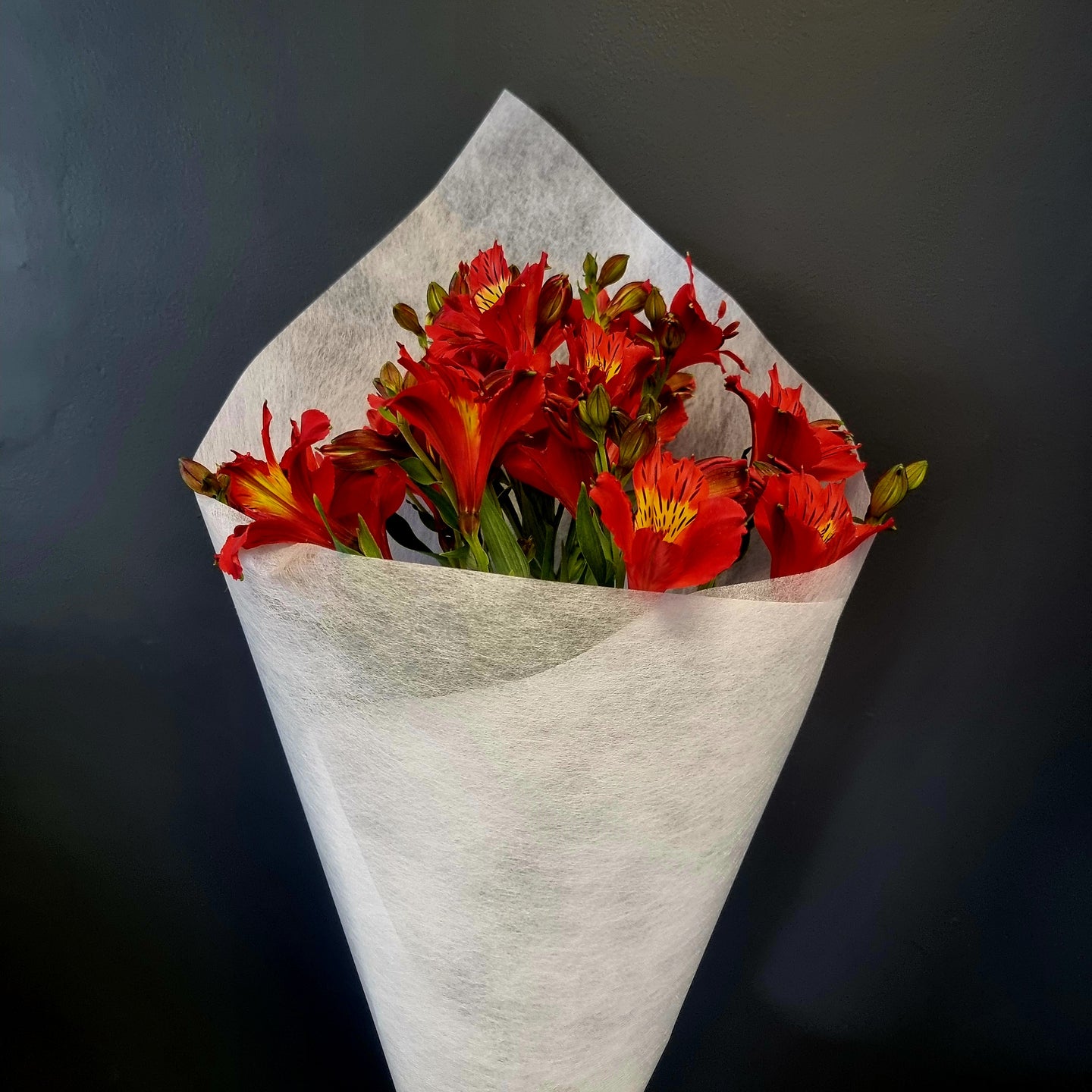 November Special - Alstromeria