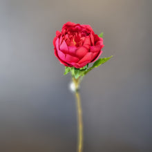 Load image into Gallery viewer, Silk Flowers Individual Stems

