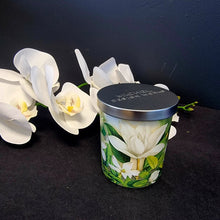 Load image into Gallery viewer, Candles - Michel Design Works
