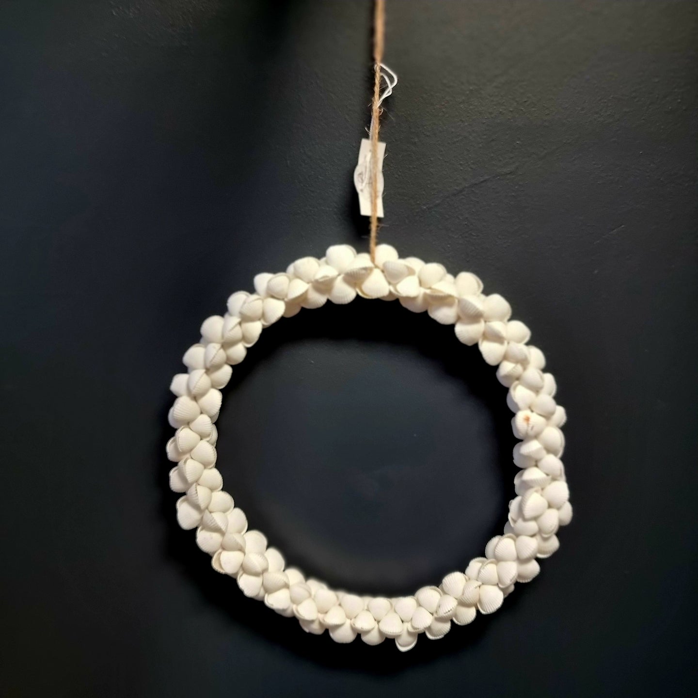 Hanging Shell Circle