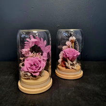 Load image into Gallery viewer, Preserved Rose Domes

