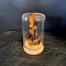 Load image into Gallery viewer, Dried Flower Domes
