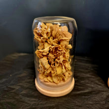 Load image into Gallery viewer, Dried Flower Domes
