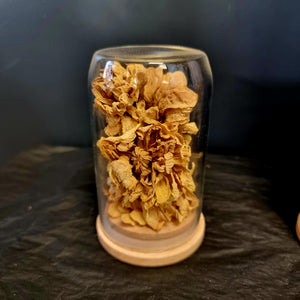 Dried Flower Domes