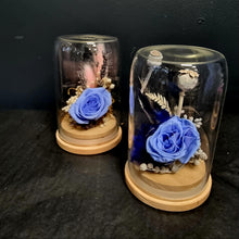 Load image into Gallery viewer, Preserved Rose Domes
