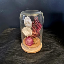 Load image into Gallery viewer, Dried Flower Domes
