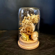 Load image into Gallery viewer, Dried Flower Domes
