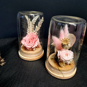 Preserved Rose Domes