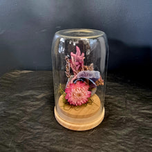 Load image into Gallery viewer, Dried Flower Domes
