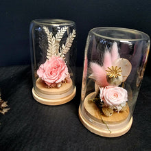 Load image into Gallery viewer, Preserved Rose Domes - Blanc Flowers
