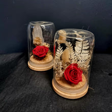 Load image into Gallery viewer, Preserved Rose Domes
