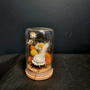 Preserved Rose Domes