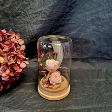 Load image into Gallery viewer, Small Tall Baby Pink Preserved Rose Dome - Blanc Flowers
