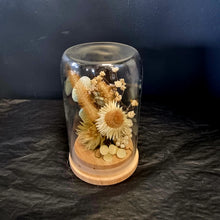 Load image into Gallery viewer, Dried Flower Domes
