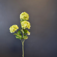 Load image into Gallery viewer, Silk Flowers Individual Stems
