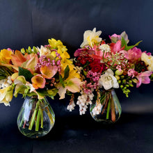 Load image into Gallery viewer, Spring SPECIAL
