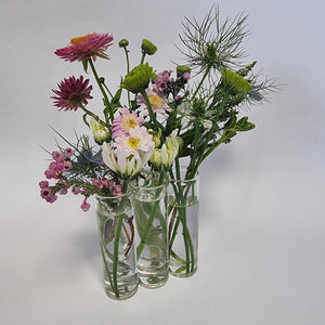 Test Tube Vases