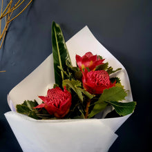 Load image into Gallery viewer, Waratah SPECIAL - for a LIMITED TIME ONLY
