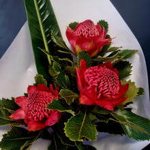 Load image into Gallery viewer, Waratah SPECIAL - for a LIMITED TIME ONLY
