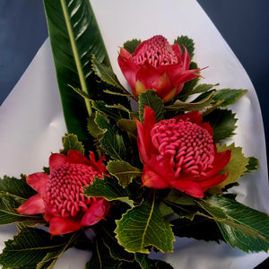 Waratah SPECIAL - for a LIMITED TIME ONLY