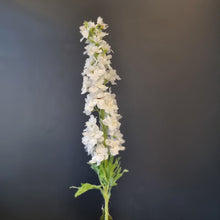 Load image into Gallery viewer, Silk Flowers Individual Stems
