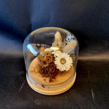 Load image into Gallery viewer, Medium White and natural dried flower dome - Blanc Flowers

