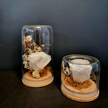 Load image into Gallery viewer, Preserved Rose Domes
