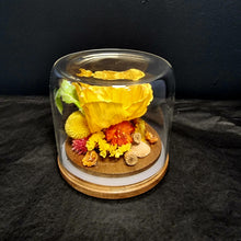 Load image into Gallery viewer, Dried Flower Domes
