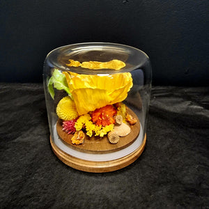Dried Flower Domes