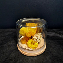 Load image into Gallery viewer, Dried Flower Domes
