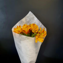 Load image into Gallery viewer, November Special - Alstromeria
