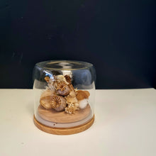 Load image into Gallery viewer, Dried Flower Domes
