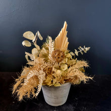 Load image into Gallery viewer, Dried Mini-Pot Arrangements
