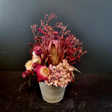 Load image into Gallery viewer, Dried Mini-Pot Arrangements
