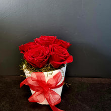 Load image into Gallery viewer, Vase of Preserved Roses - Blanc Flowers
