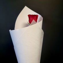 Load image into Gallery viewer, Roses
