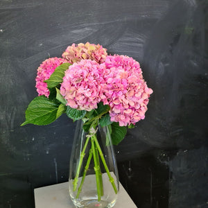 Large bunch of hydrangeas in tones of pink, can be ordered in other colours including blue, teal and white. 