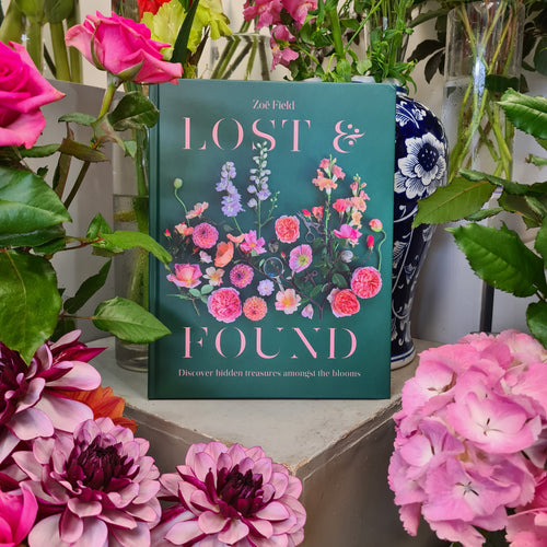 Lost & Found by New Zealand author Zoe Field. Hardback beautiful book featuring botanical photos.