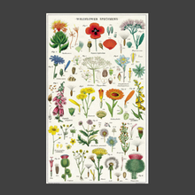 Load image into Gallery viewer, Cavallini &amp; Co beautiful vintage styled Wildflowers Tea Towel
