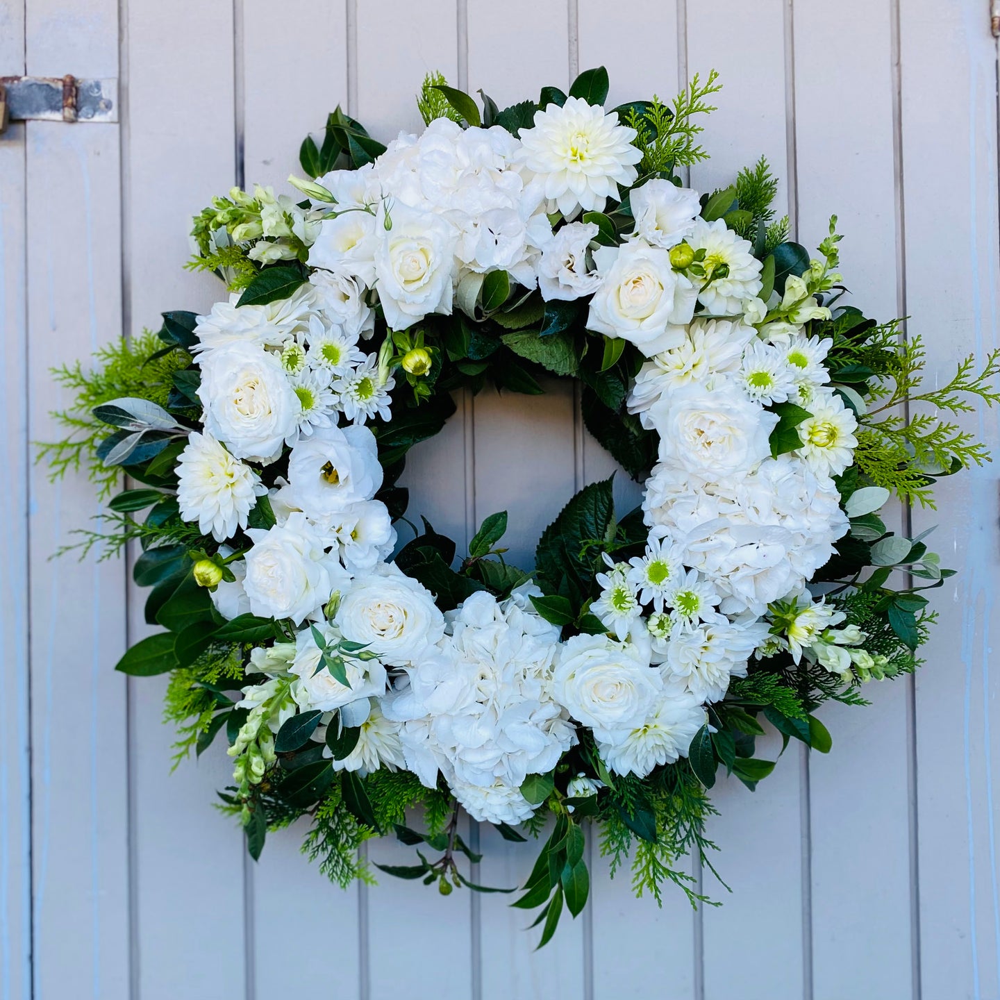 Wreath of fresh beautiful white blooms on a collar of green foliage.