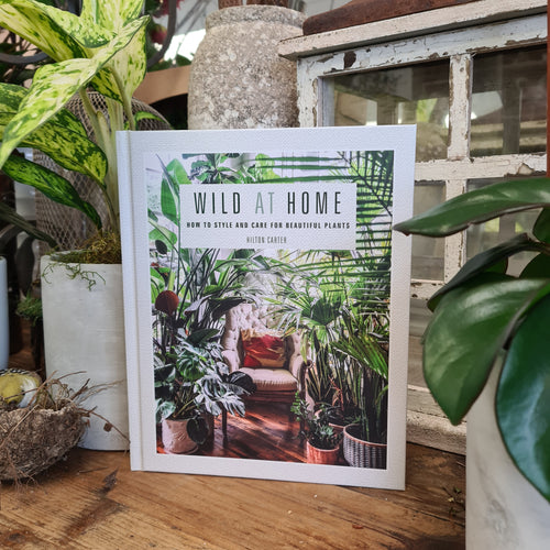 Wild at Home by Hilton Carter. Beautifully presented hardback book featuring house plants.